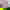 Damixa Koekkenarmatur Kobber 2Column 1456X1092px