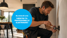 BD_dk_2000x1000_el_online_avis.jpg