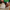 Singlemail juni.png
