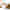 Dynasty PICV topbanner.jpg (1)