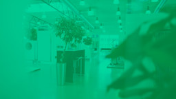 Kompetencecentret hjælper med at vejlede slutbrugerne