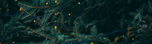 Lukkedage Jul 23 Opengraphimage 1200X630