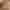 BD Online Maj - Bild 2.jpg