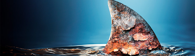 Alle løsninger er designet til at hjælpe dig med at løse de komplekse udfordringer du står over for, lige fra energioptimering af dit varme- og køleanlæg til fjernkontrol af dit HVAC-anlæg. Se mere på BD.dk og køb online.