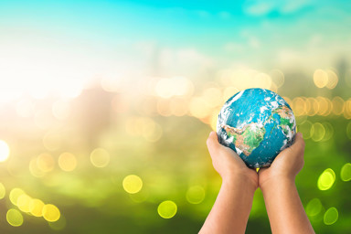 Bæredygtighed Og Grønne Tiltag Hos Brødrene Dahl Hero