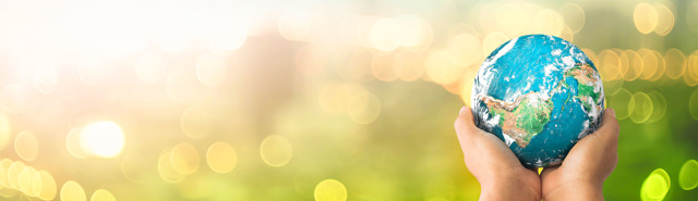 Bæredygtighed Og Grønne Tiltag Hos Brødrene Dahl Hero