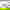 Miljoecertificeringer Paa Bd Se Filmen Om Svanemaerket 880X495px