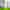 Damixa Branding Hero 16 9 3616X2036px