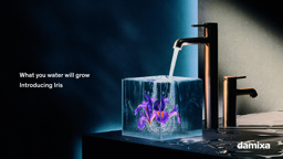 IRIS 42319 Damixa Keyvisuals Stills1 (2)