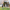 B2500px_Family_playing_outside_V2.png