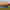 NZ9_7587-2.jpg (1)