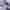 Picture 1